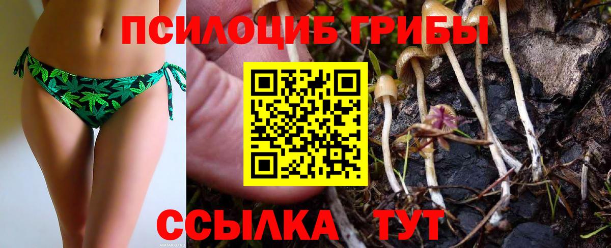 Галлюциногенные грибы GOLDEN TEACHER  Вход с VPN  Новокубанск 